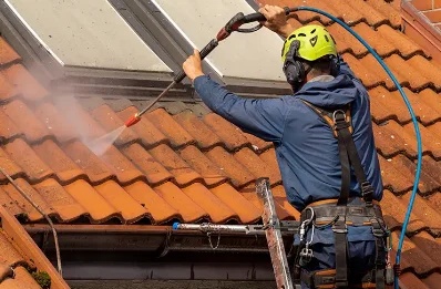 Démoussage et hydrofuge de toiture à Domeyrot